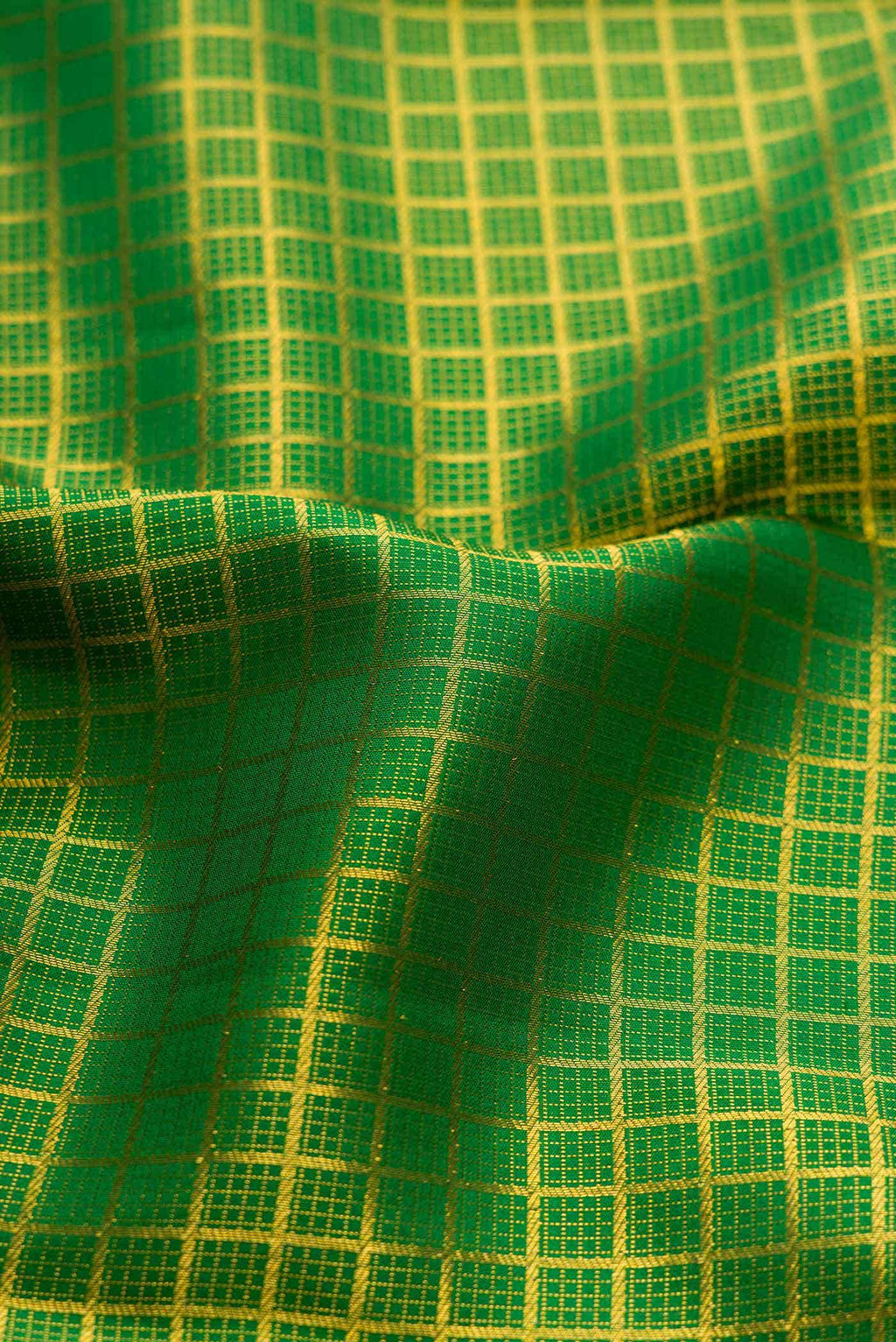 Green Dual Tone Kanchipuram Silk Saree