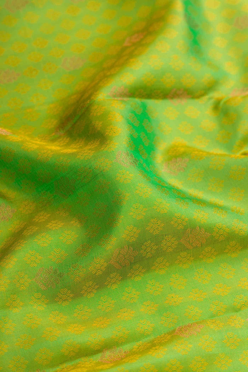 Parrot Green Dual Tone Kanchipuram Silk Saree
