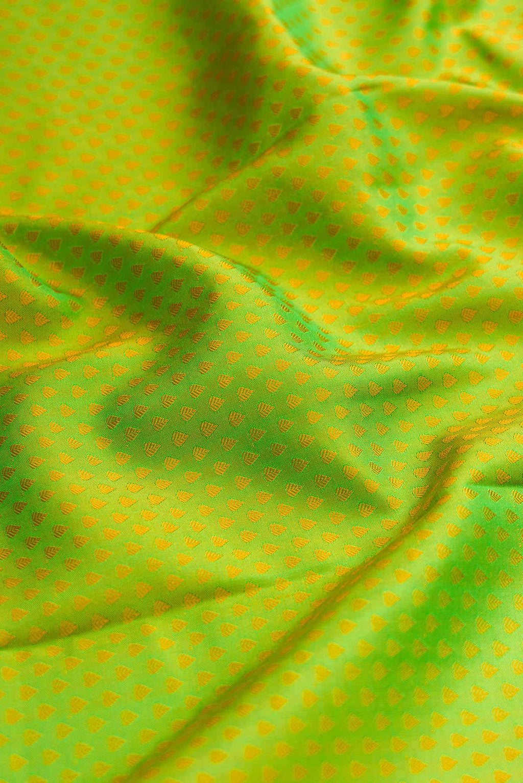 Parrot Green Dual Tone Kanchipuram Silk Saree