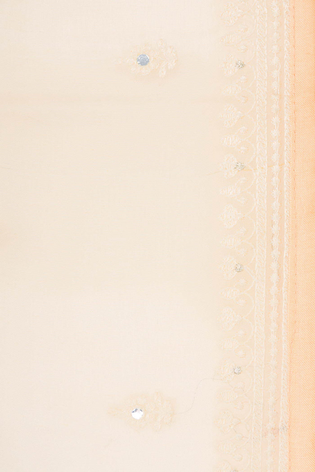 Sandal Organza Silk Saree