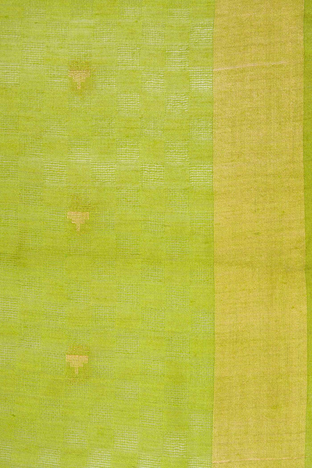 Parrot Green Tussar Silk Saree
