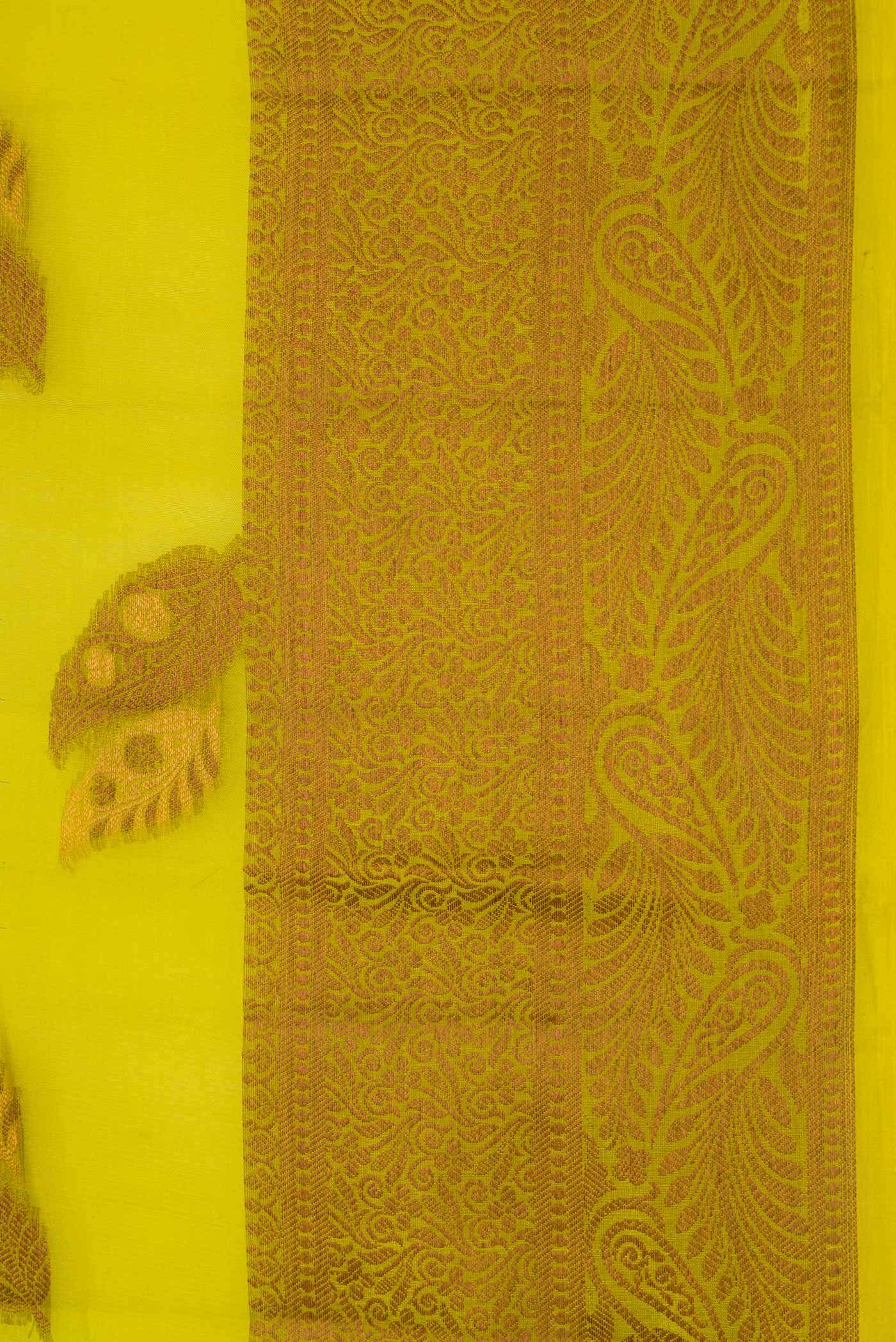 Green Dual Tone Tussar Silk Saree
