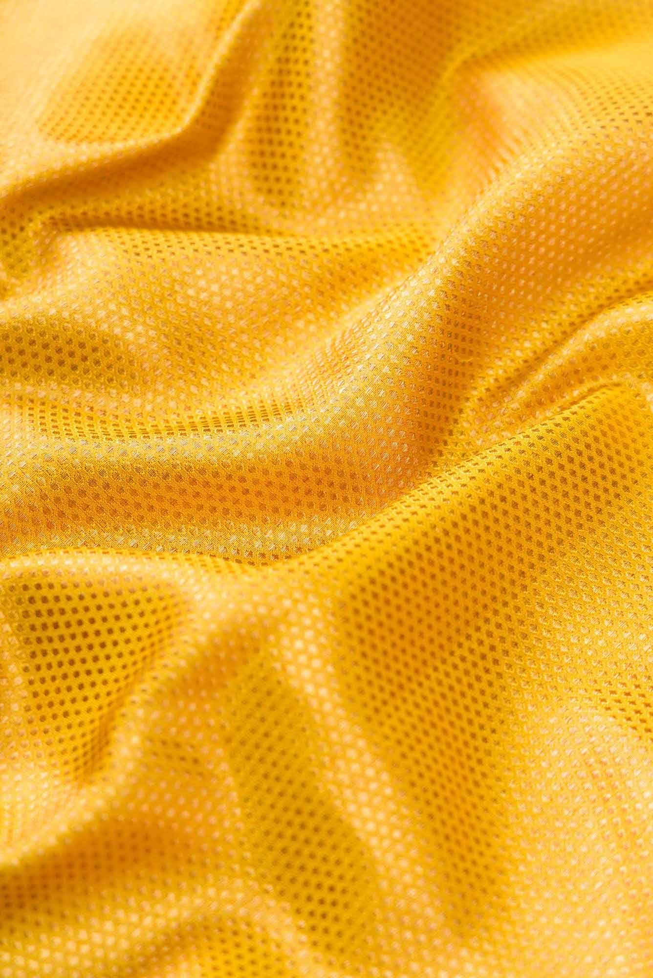 Pure Silk Pure Zari Gold Dual Tone Kanchipuram Saree