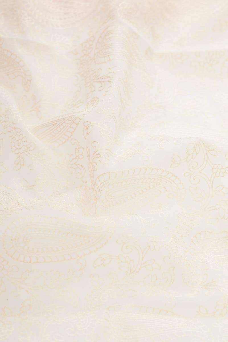 Off White Dual Tone Organza Silk Saree