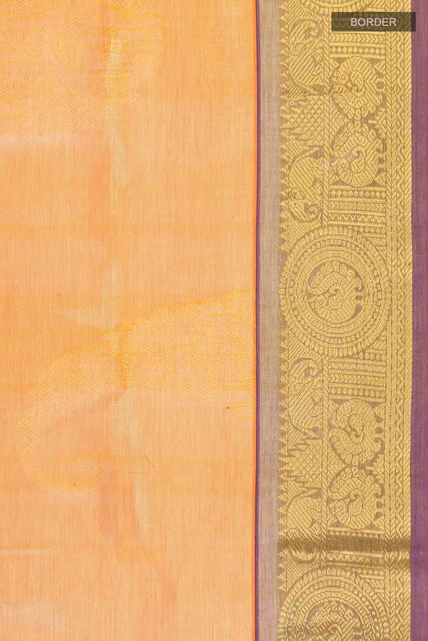 Mustard Silk Cotton Saree