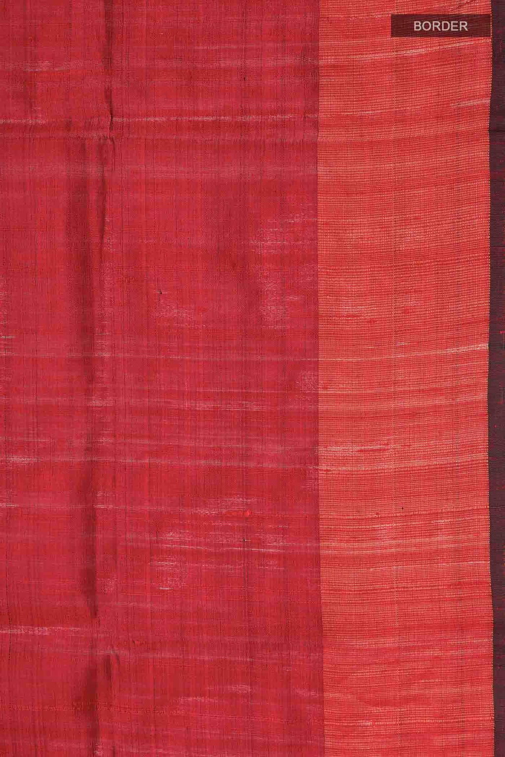Beige Tussar Silk Saree