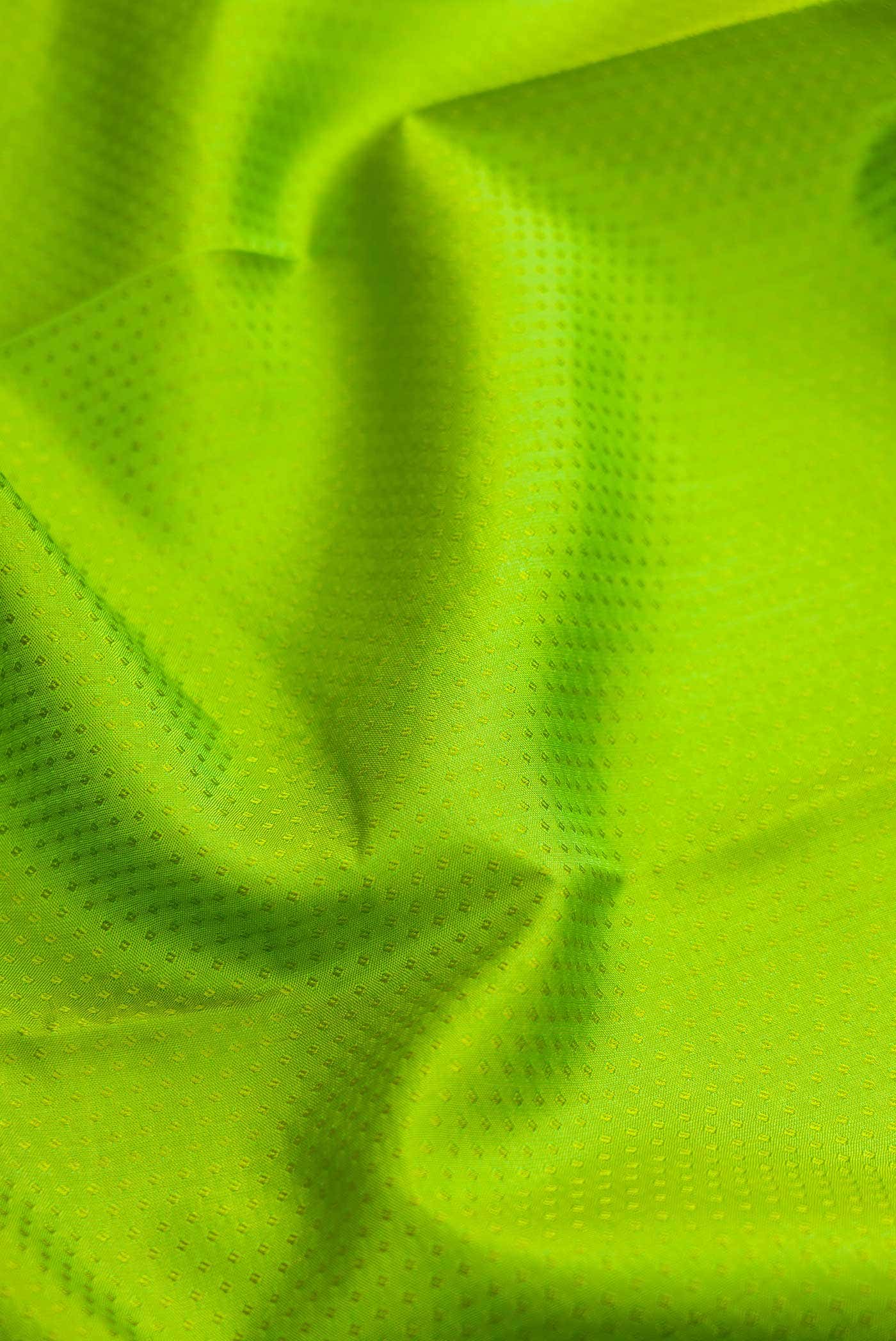 Parrot Green Kanchipuram Silk Saree