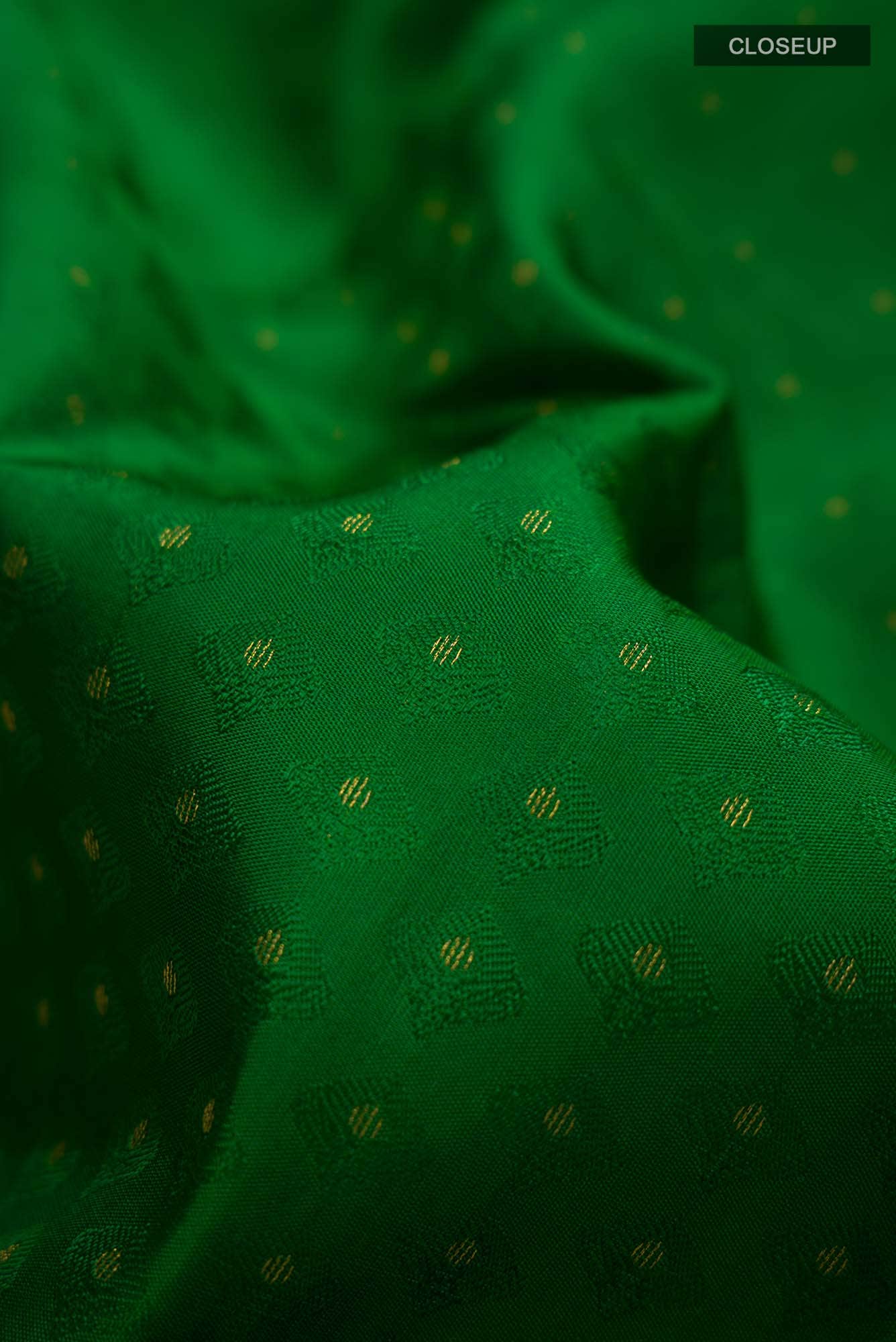 Green Kanchipuram Silk Saree