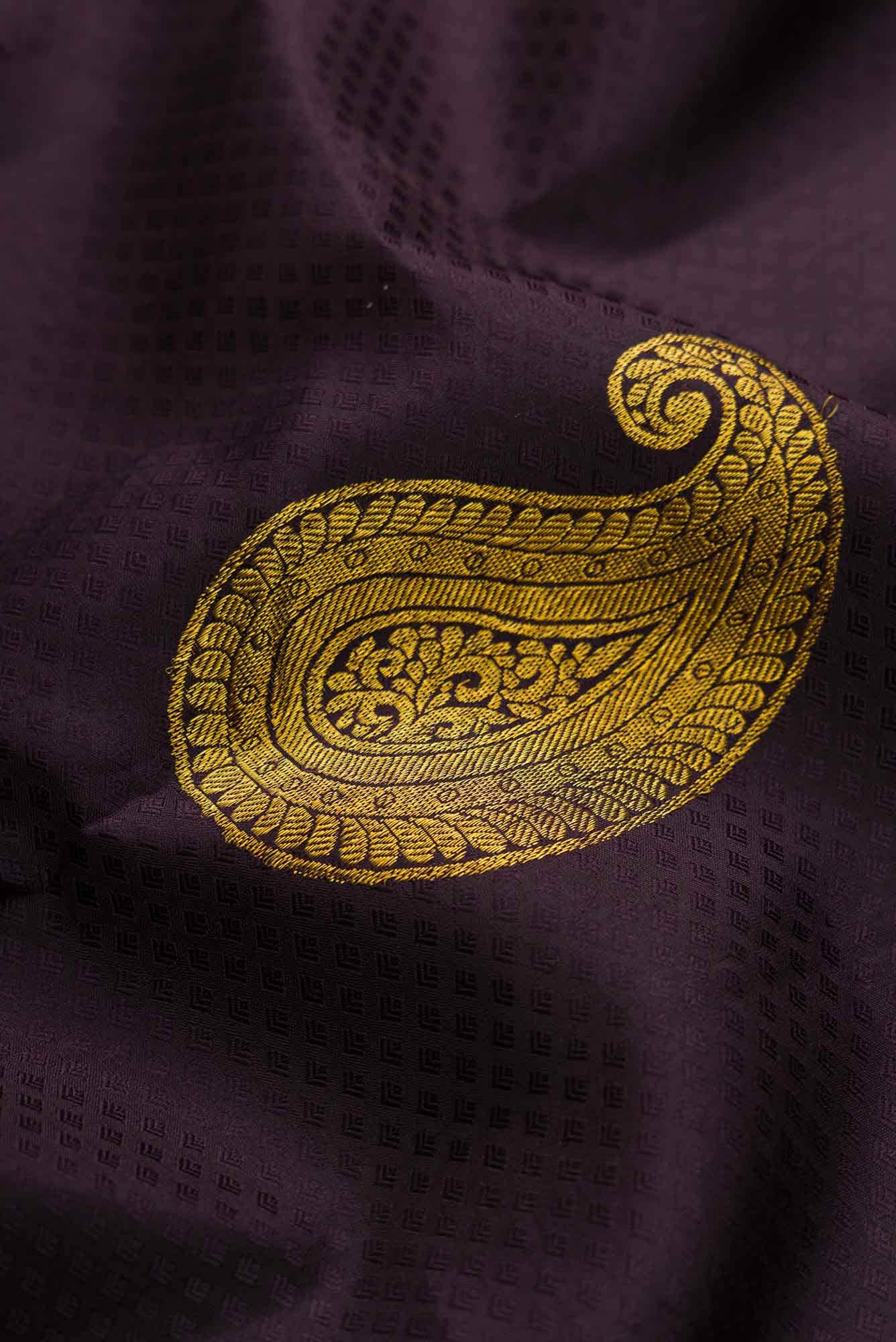 Black Dual Tone Kanchipuram Silk Saree