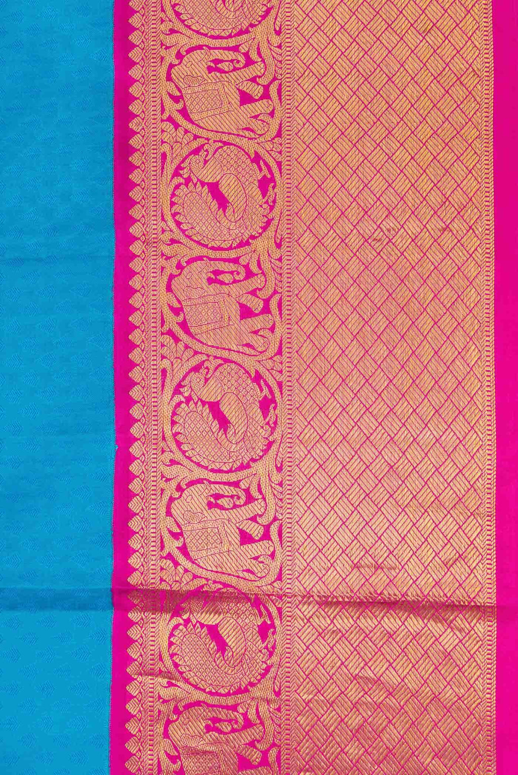 Sky Blue Kanchipuram Silk Saree