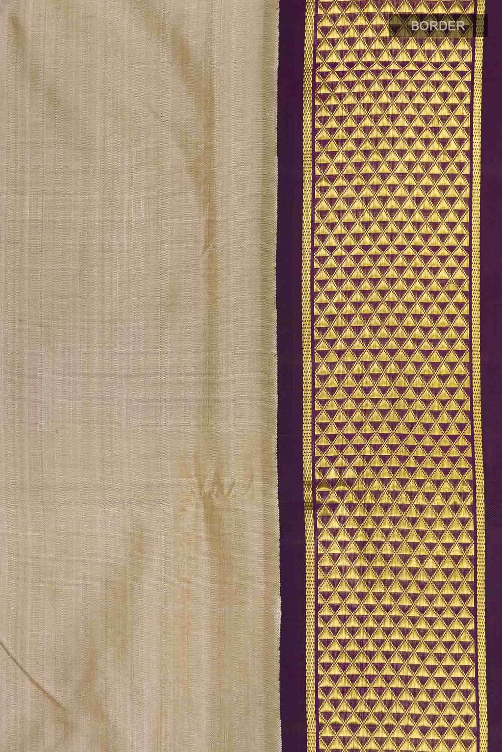Beige Kanchipuram Silk Nine Yards Saree