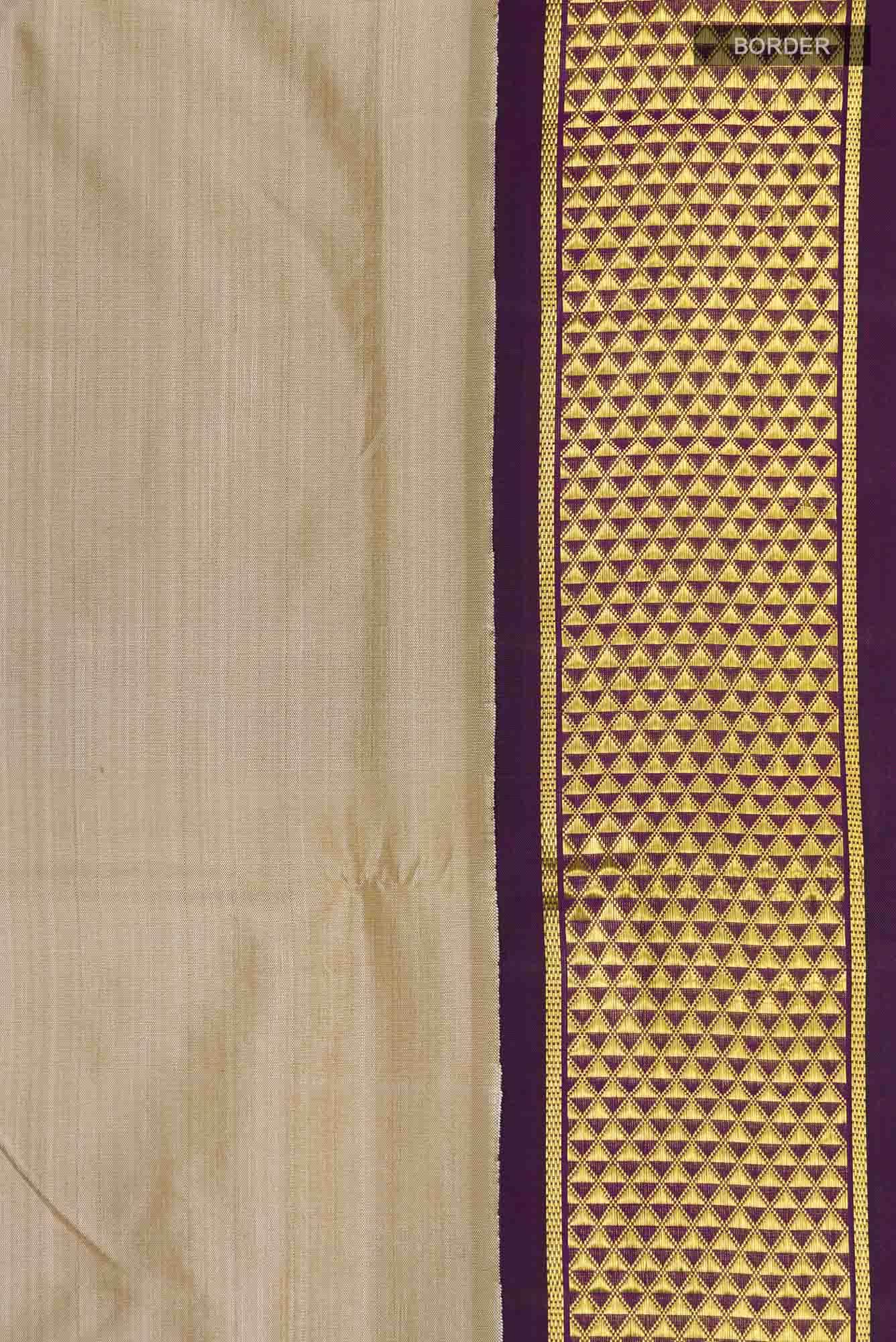 Beige Kanchipuram Silk Nine Yards Saree