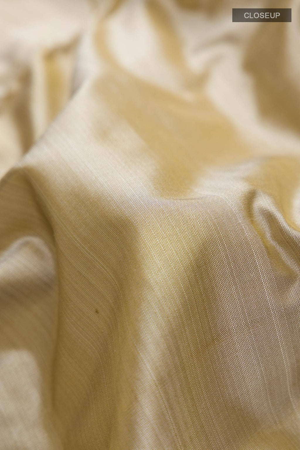 Beige Kanchipuram Silk Nine Yards Saree