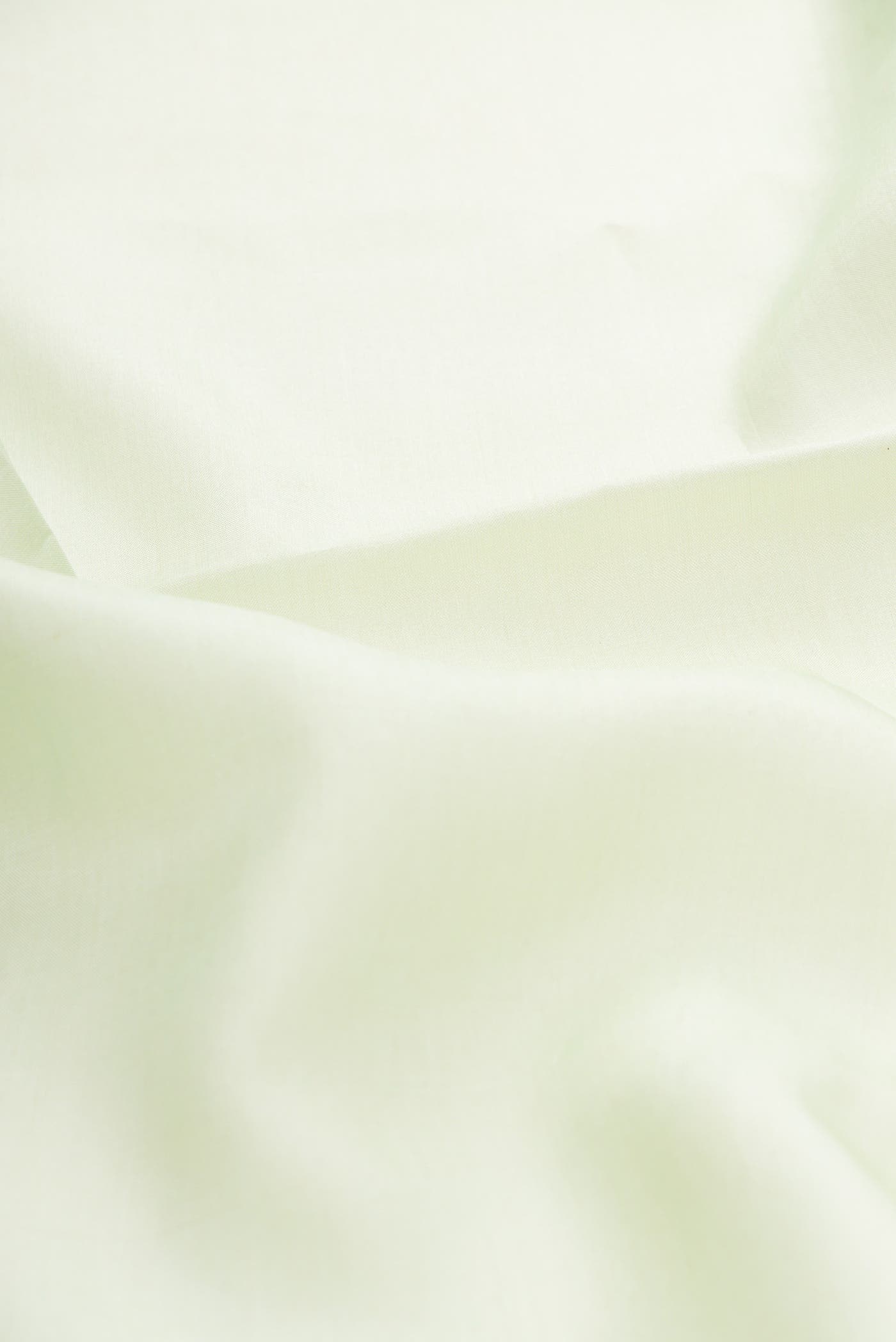 Light Green Tussar Silk Saree