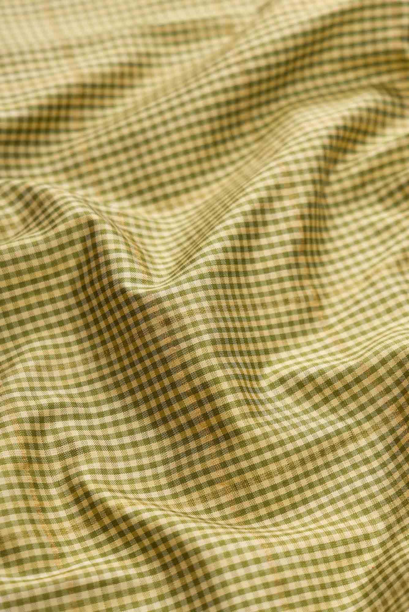 Green Dual Tone Double Ikat Saree
