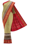 Green Dual Tone Double Ikat Saree