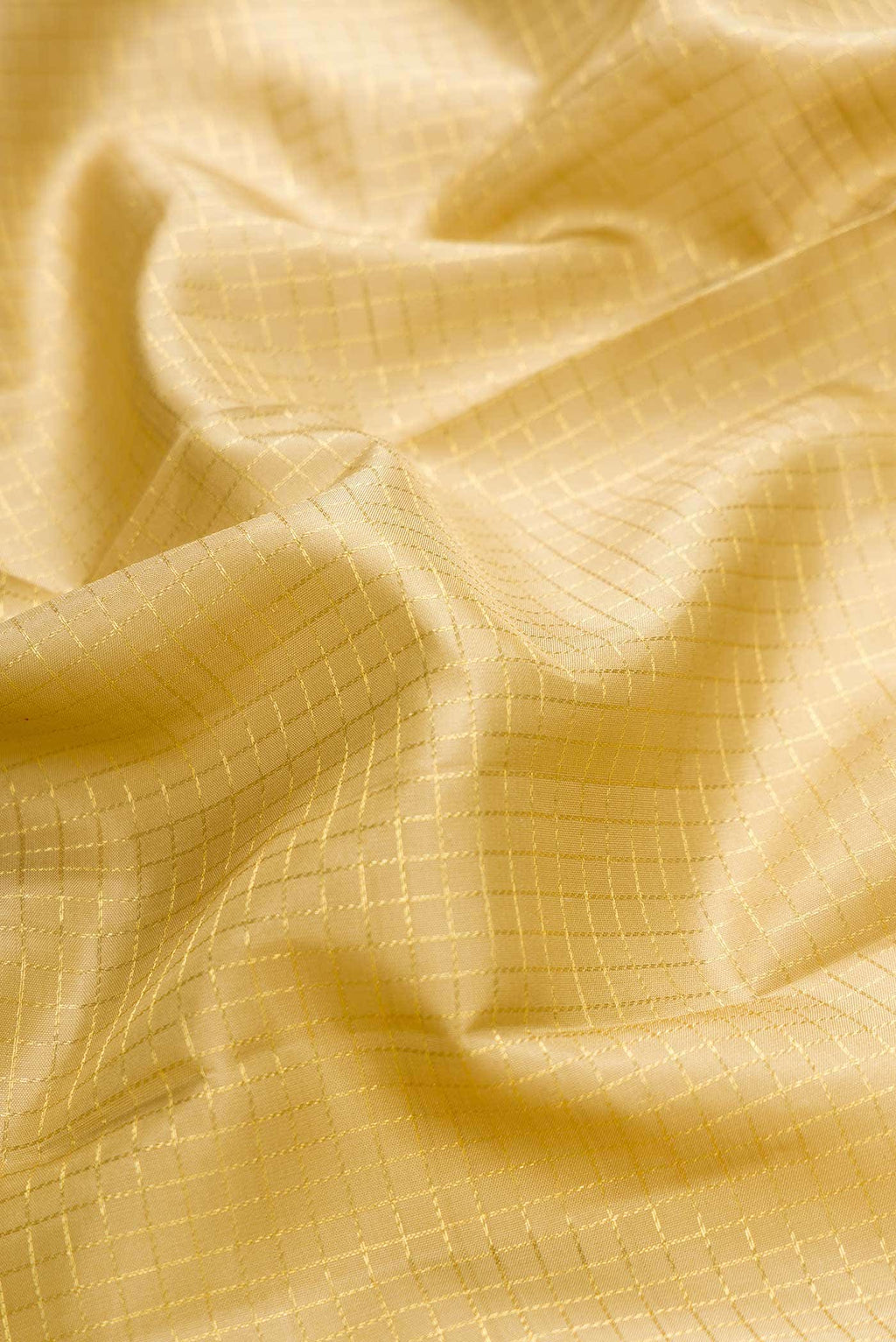 Beige Kanchipuram Silk Saree