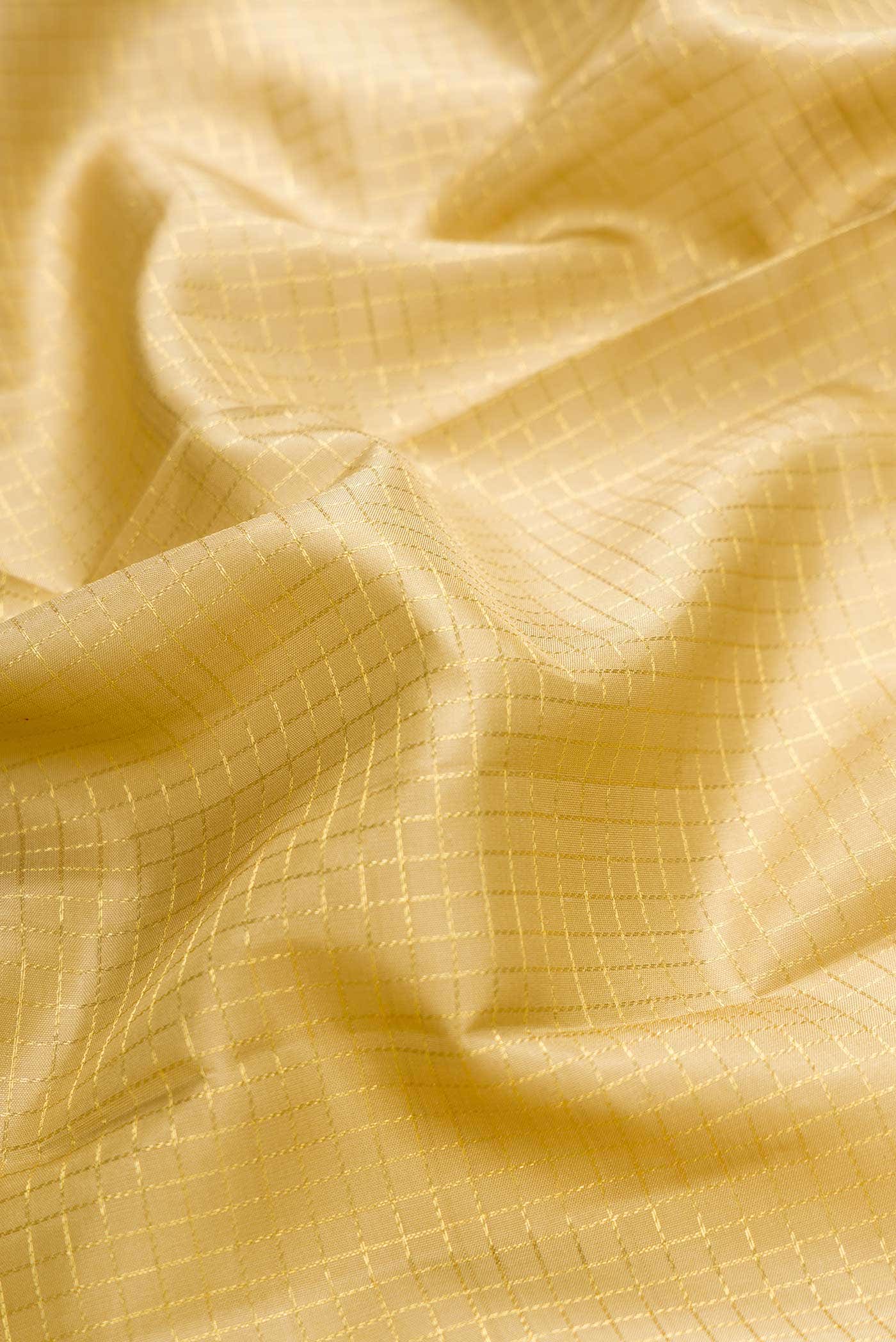 Beige Kanchipuram Silk Saree