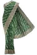 Green Dual Tone Tussar Silk Saree