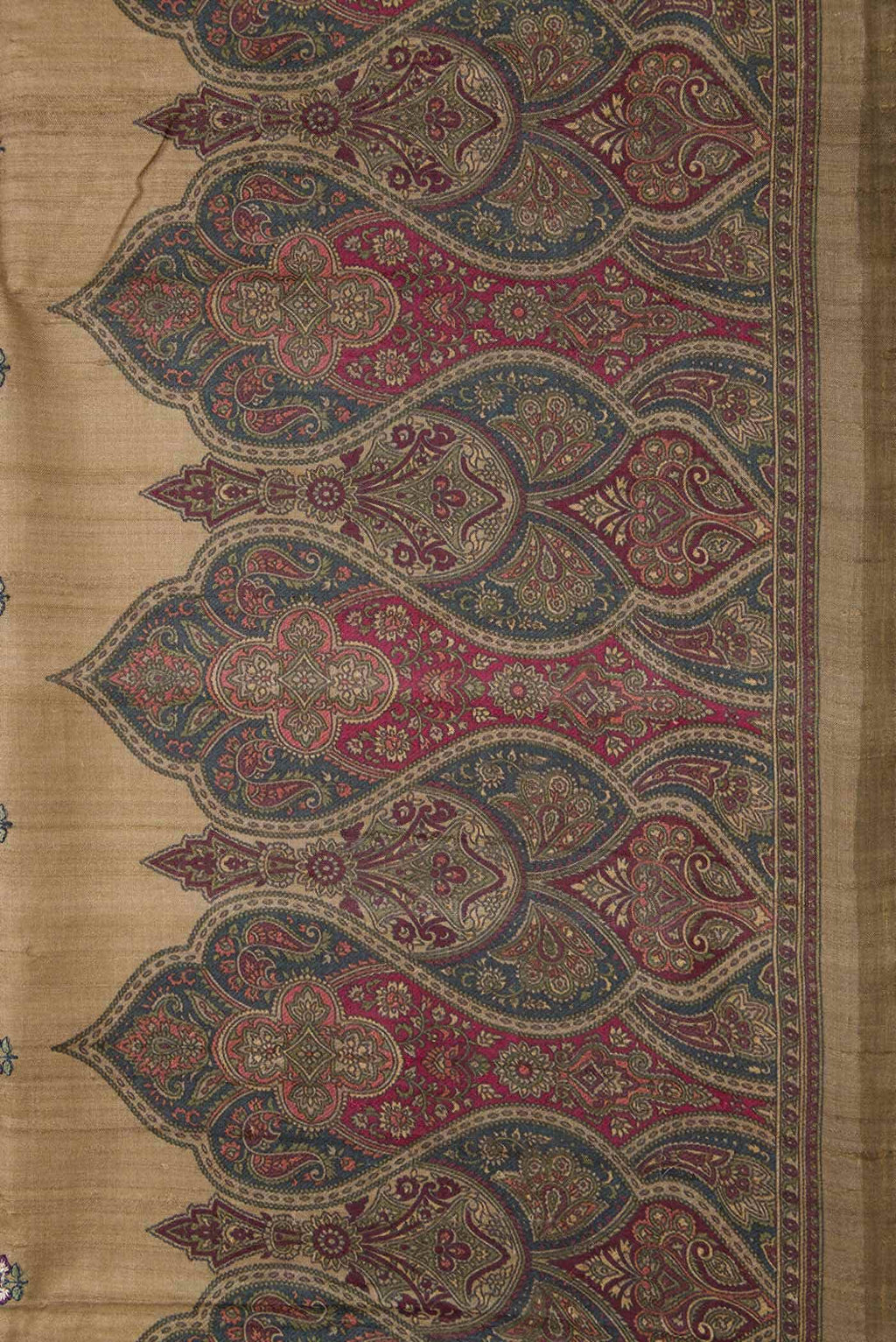 Dark Beige Tussar Silk Saree