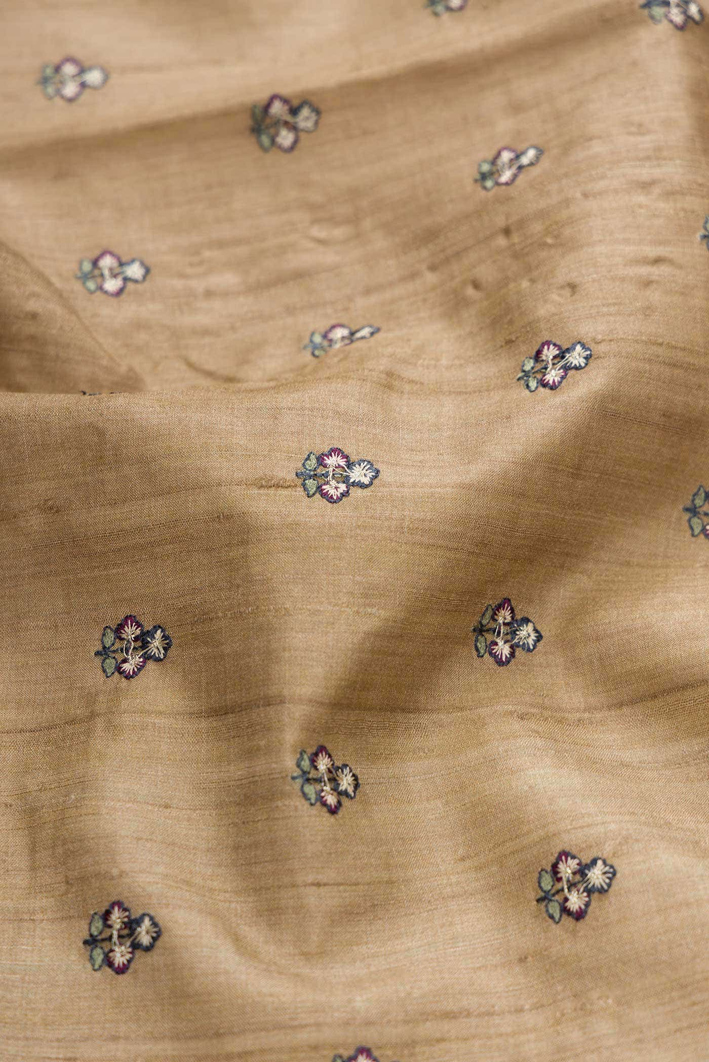 Dark Beige Tussar Silk Saree