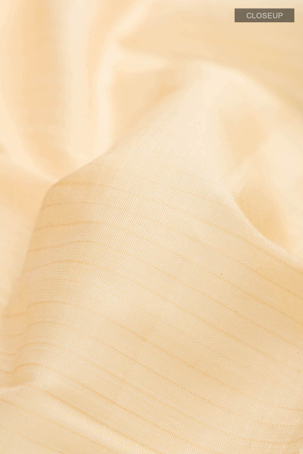Beige Gadwal Silk Cotton Saree