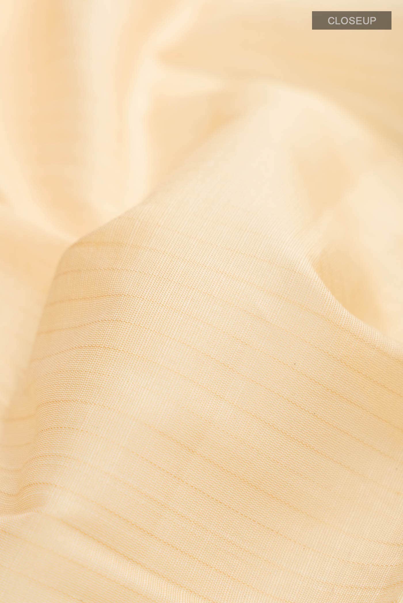 Beige Gadwal Silk Cotton Saree
