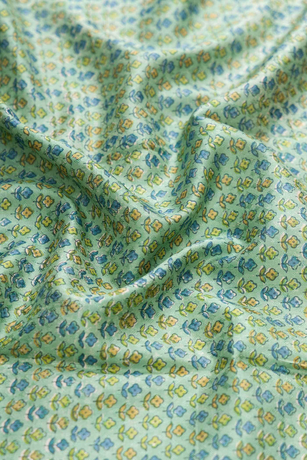 Light Green Kanchipuram Silk Saree