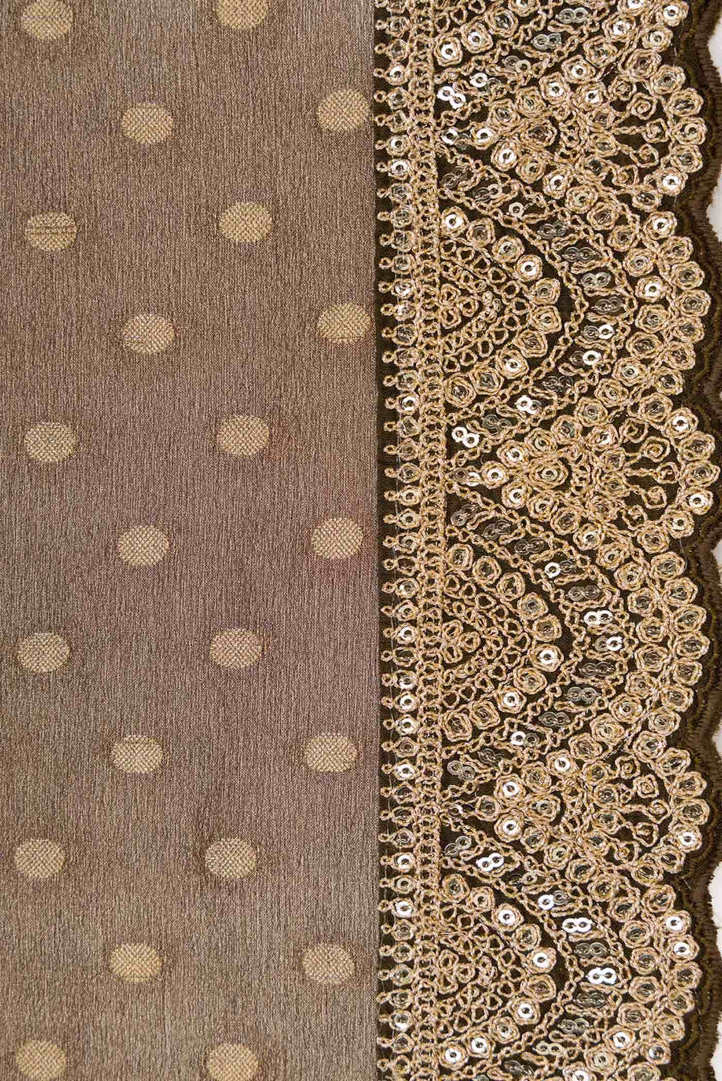 Brown Organza Silk Saree