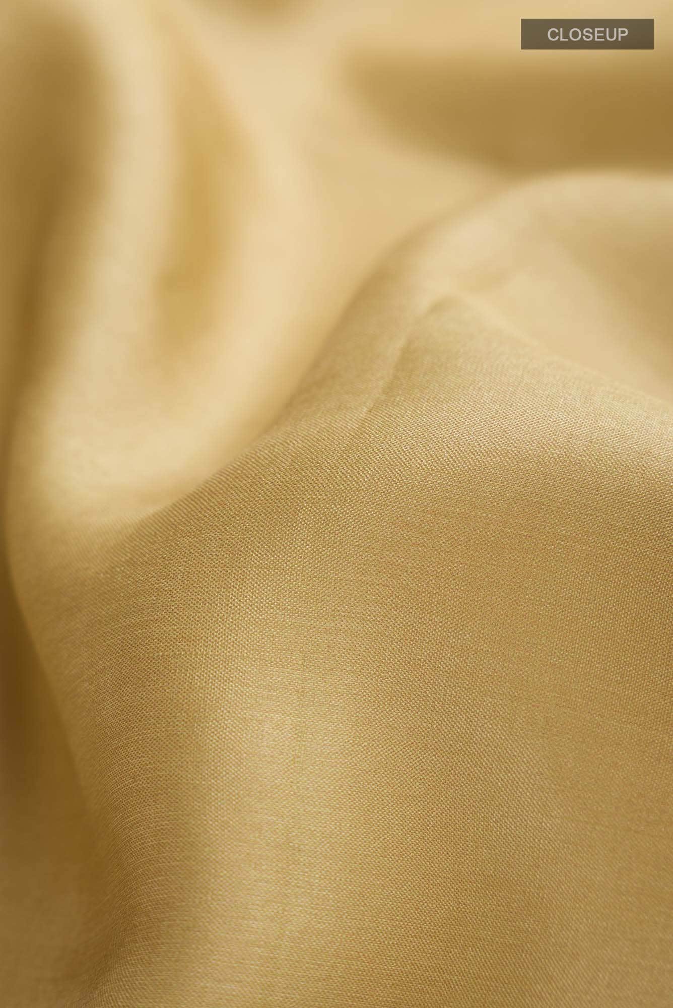 Beige Bhagalpuri Tussar Silk Saree