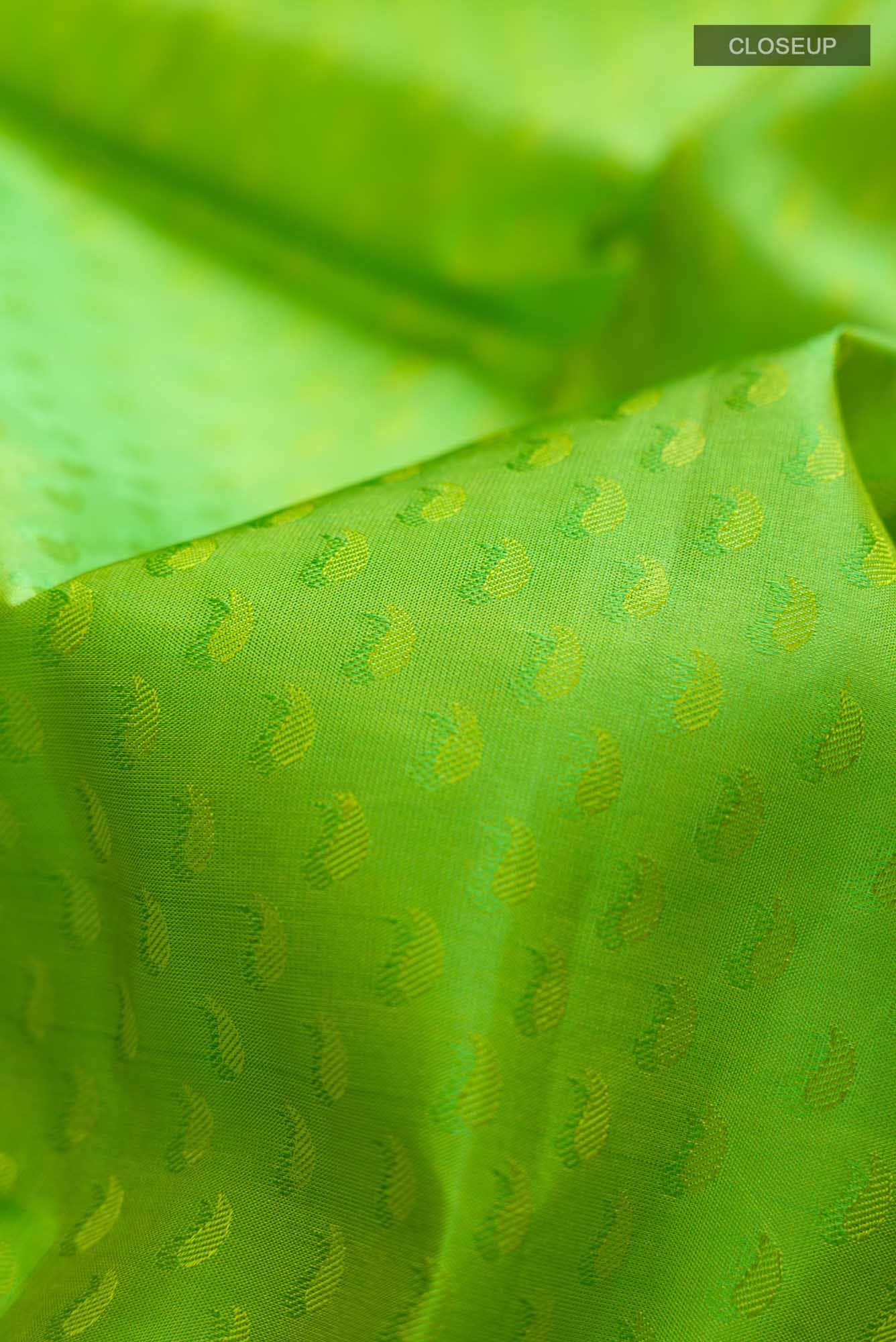 Green Kanchipuram Silk Saree
