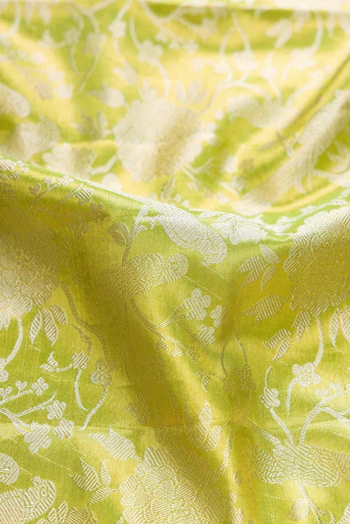 Parrot Green Dual Tone Kanjivaram Tissue Silk Saree
