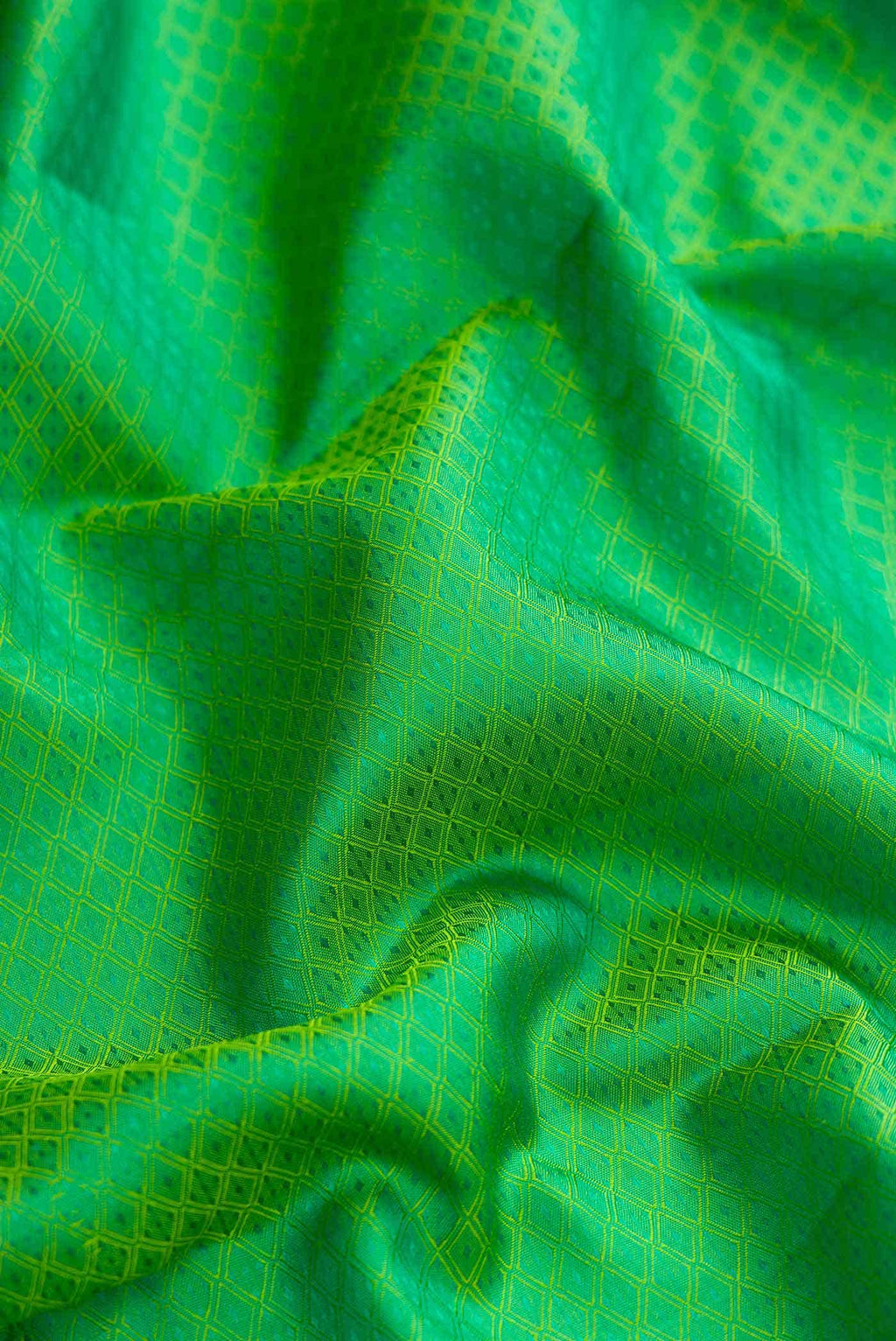 Green Kanchipuram Silk Saree