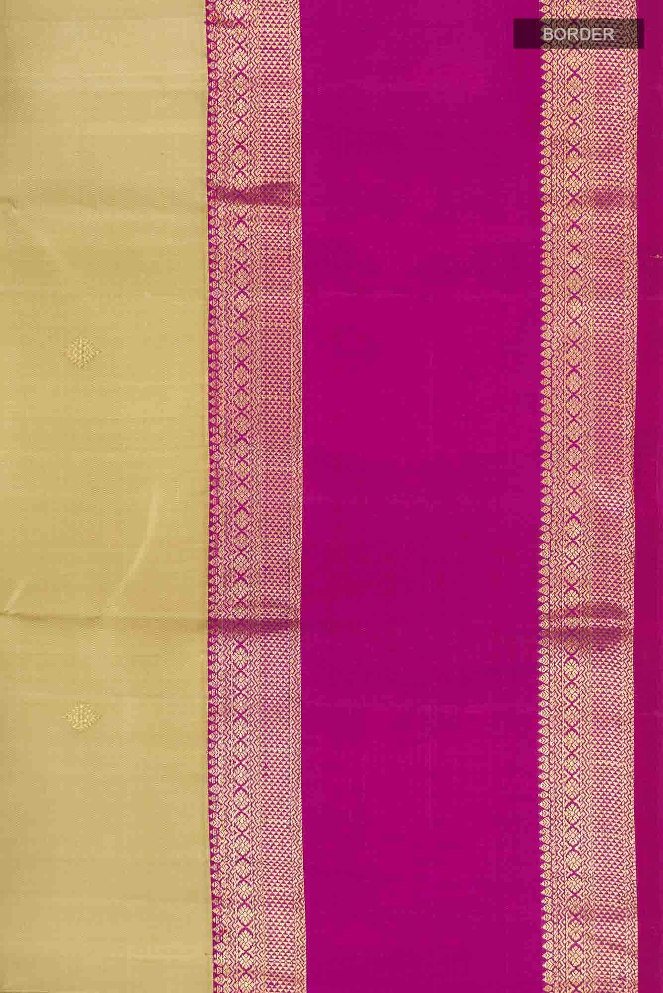 Beige Kanchipuram Silk Saree