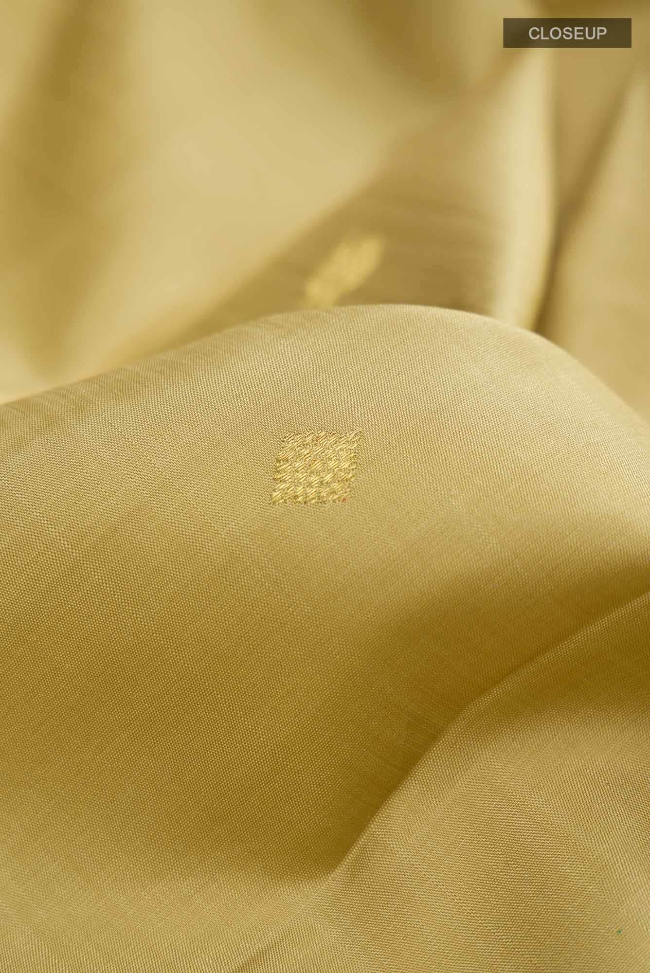 Beige Kanchipuram Silk Saree