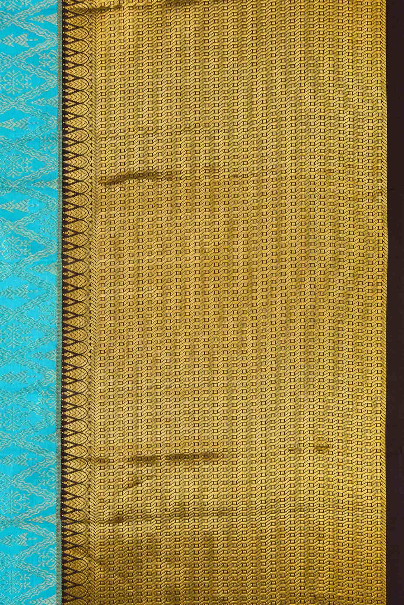 Sky Blue Kanchipuram Silk Saree
