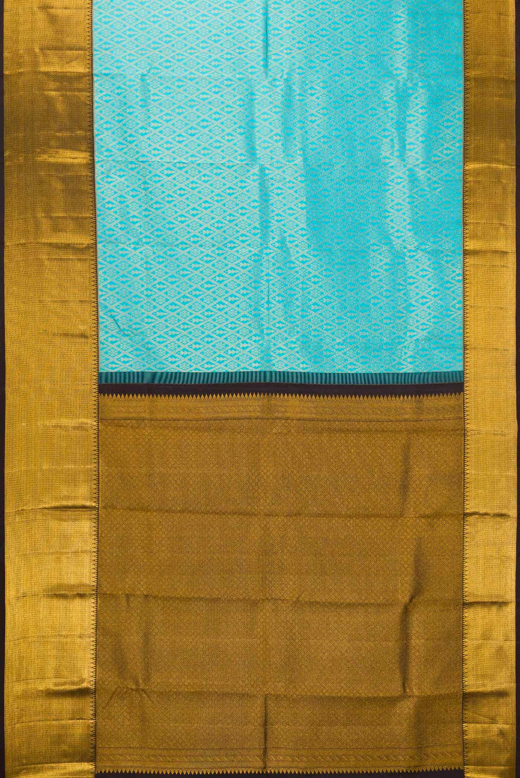 Sky Blue Kanchipuram Silk Saree