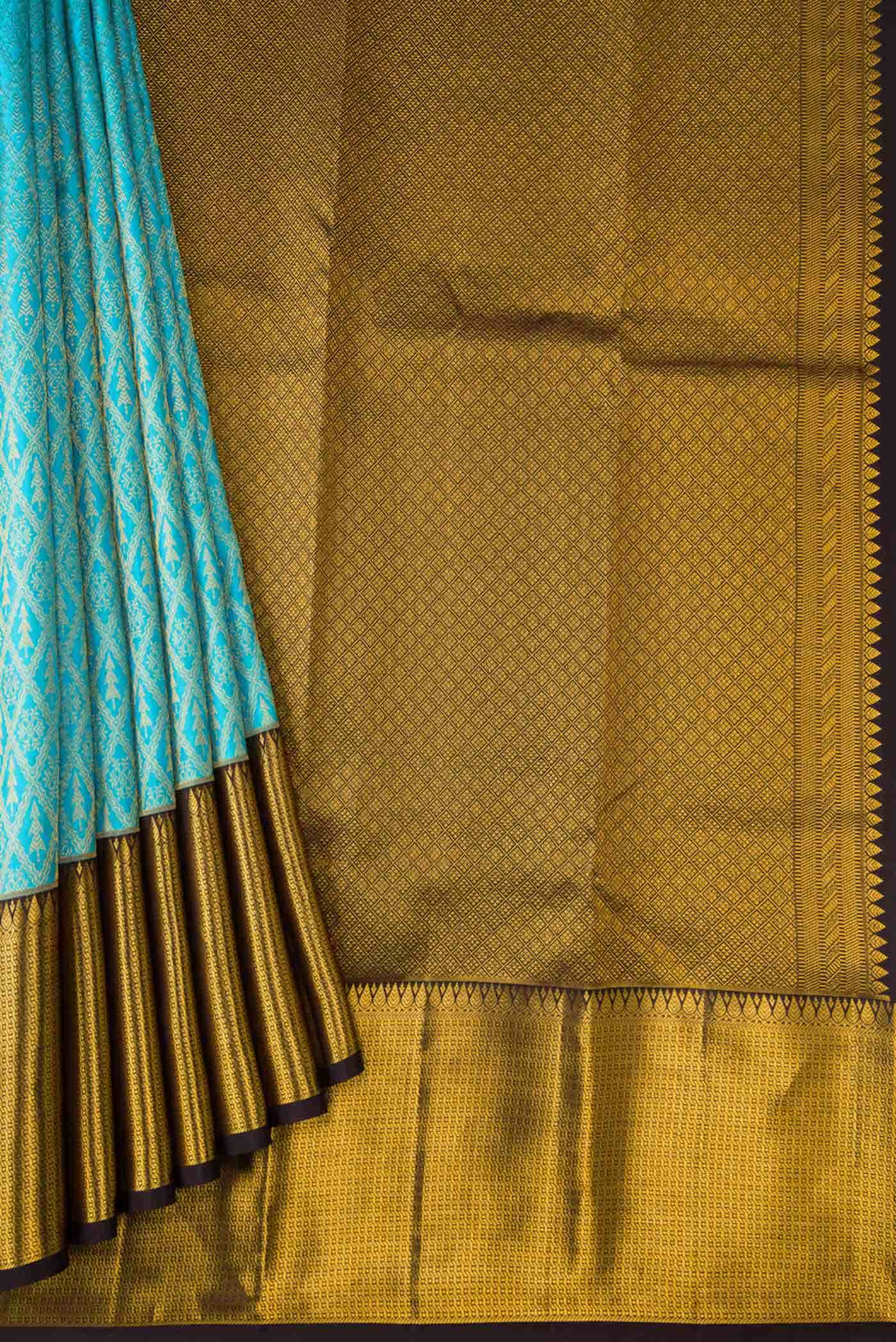 Sky Blue Kanchipuram Silk Saree