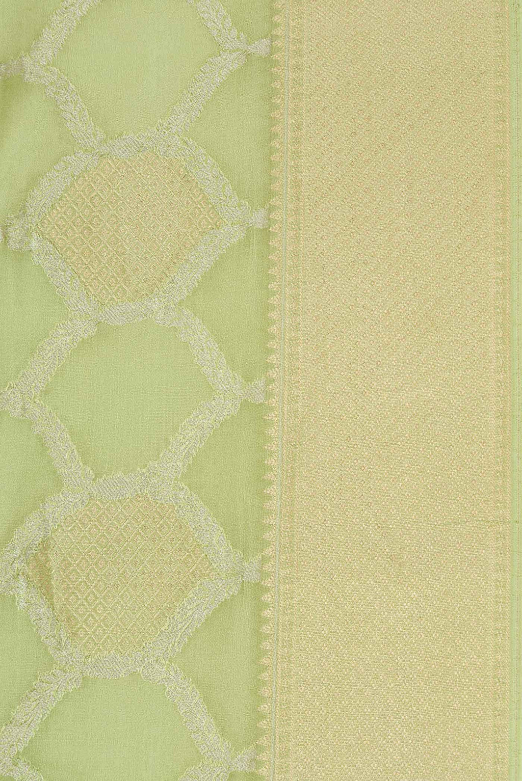 Green Dual Tone Banarasi Georgette Saree
