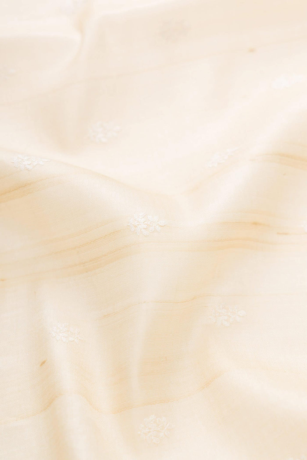 Beige Tussar Silk Saree