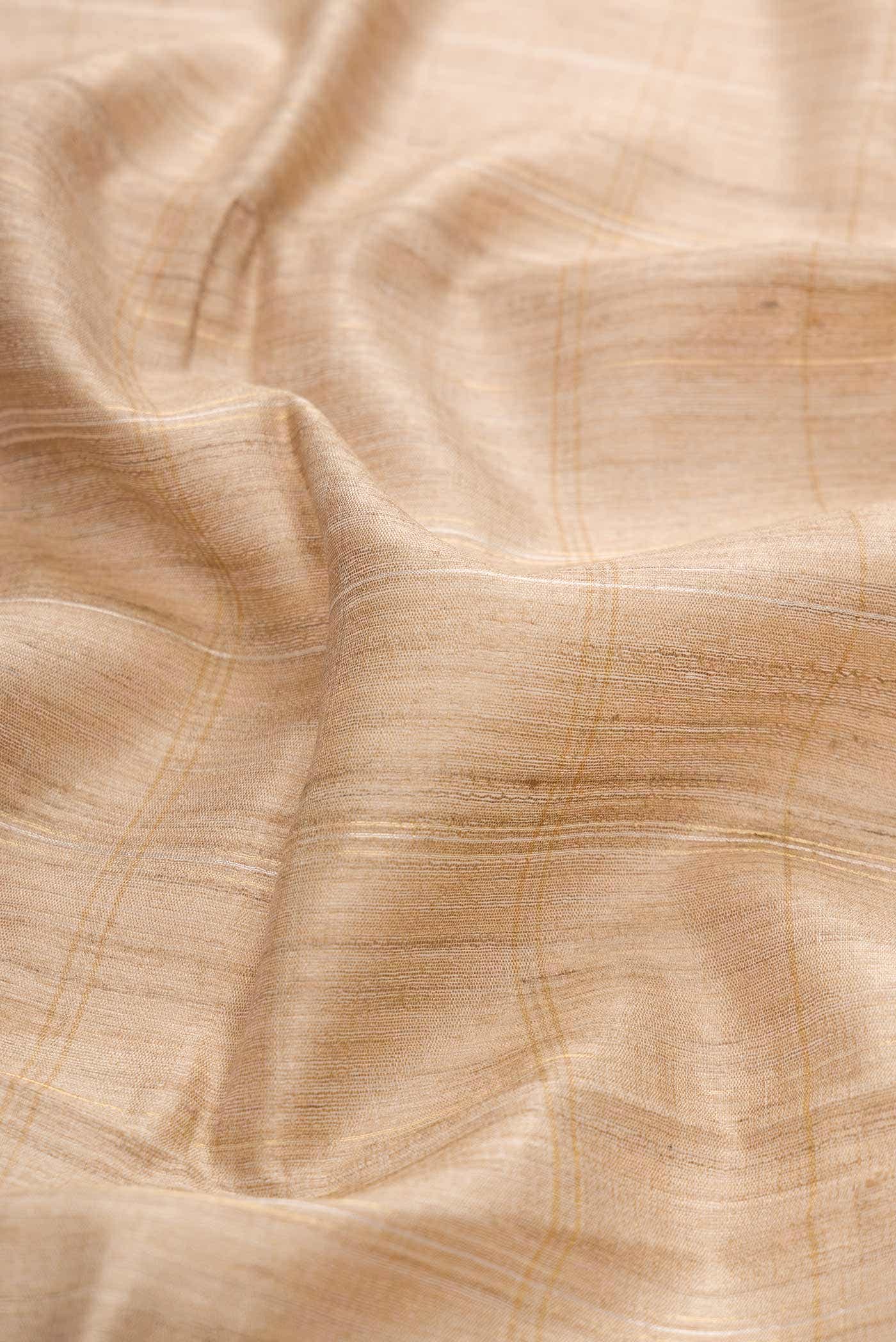 Dark Beige Dual Tone Tussar Silk Saree