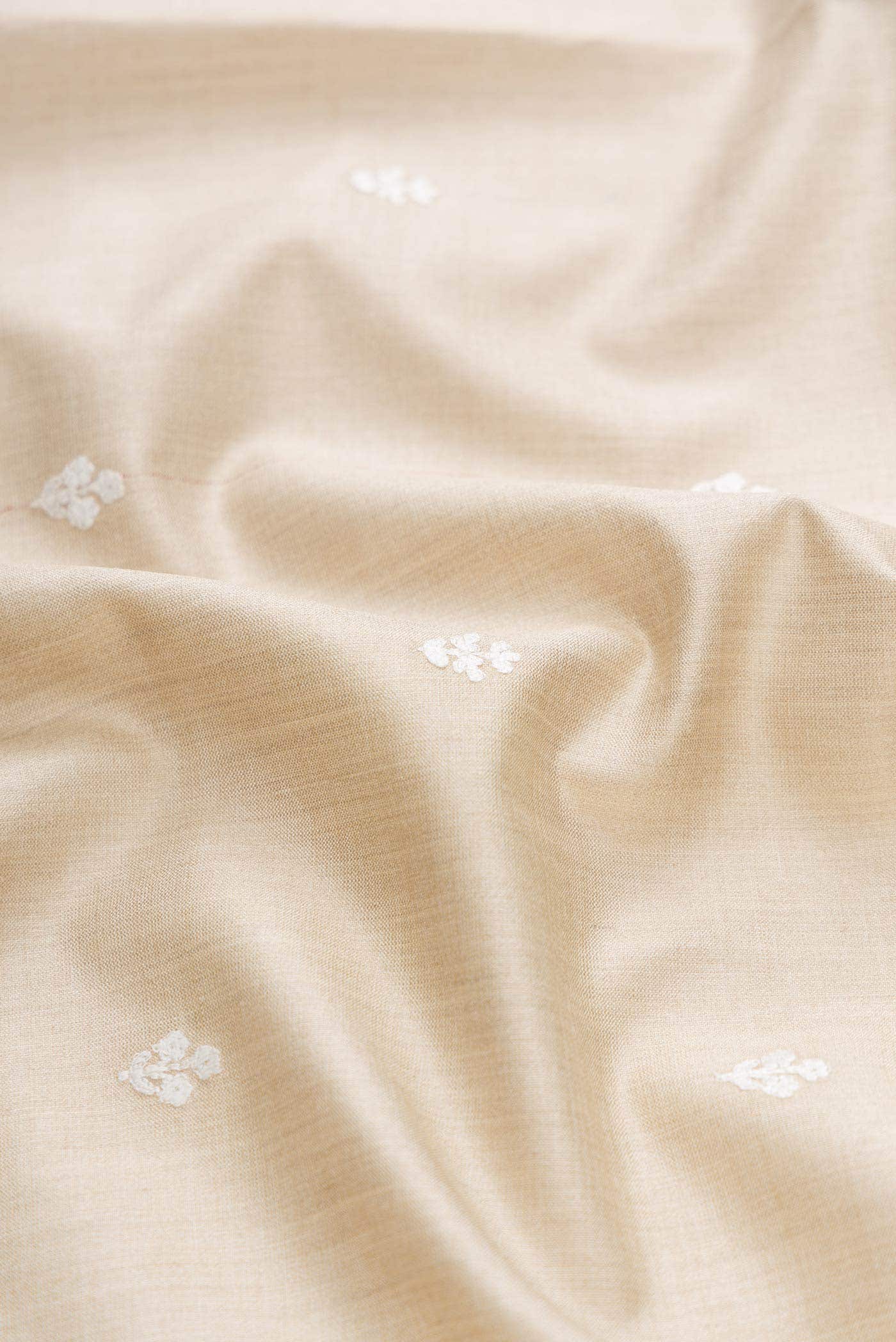 Beige Tussar Silk Saree