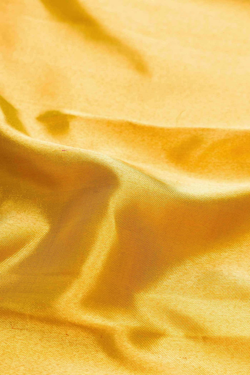 Pure Silk Pure Zari Gold Dual Tone Kanchipuram Tissue Saree