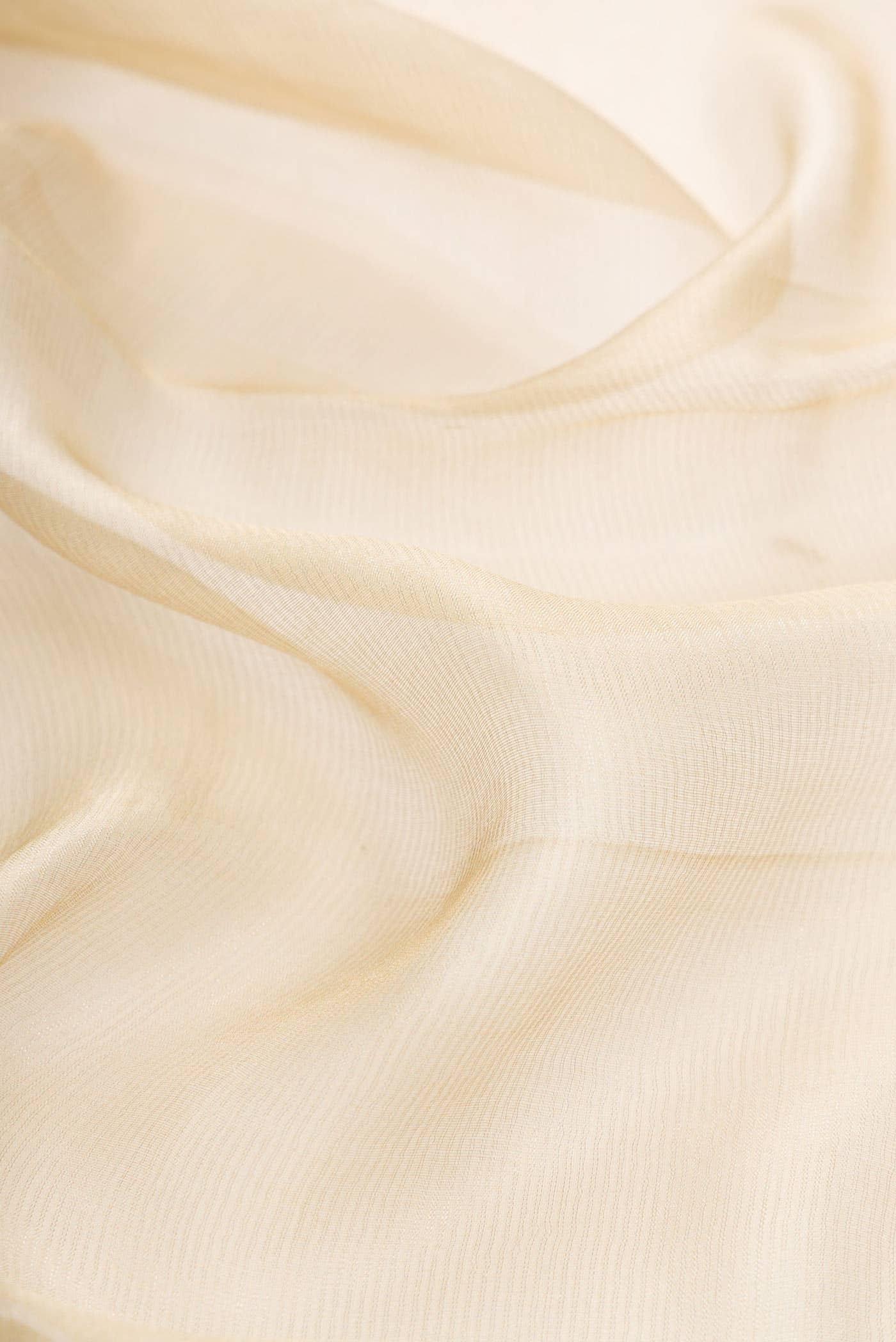 Beige Organza Silk Saree