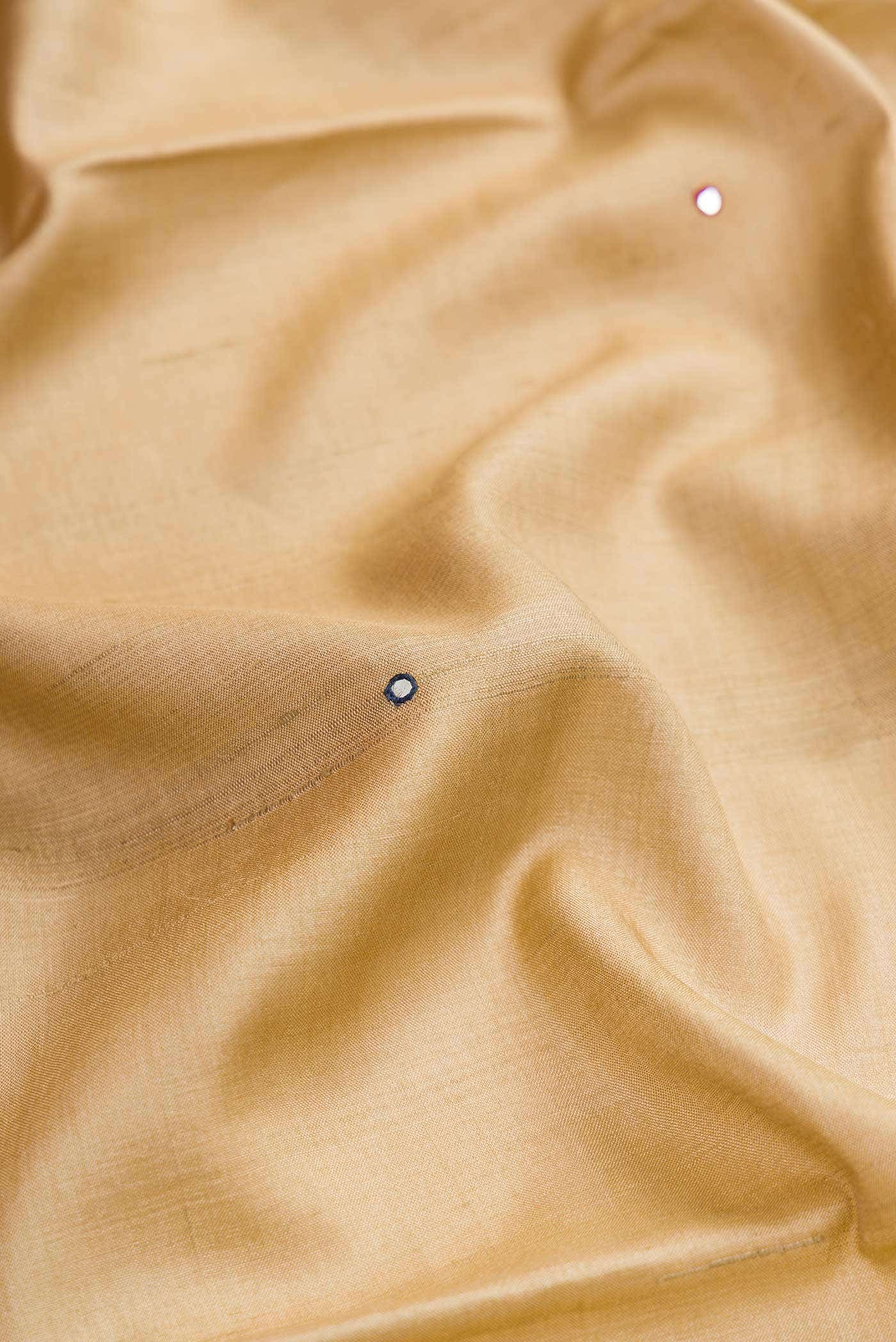 Dark Beige Tussar Silk Saree