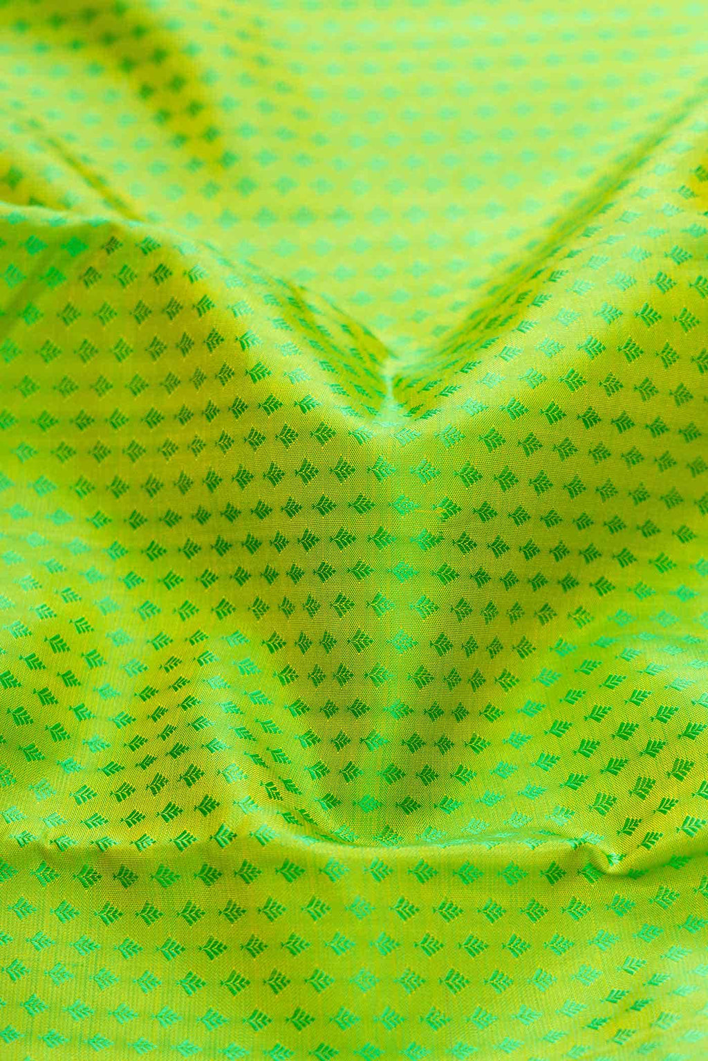 Pure Silk Pure Zari Parrot Green Dual Tone Kanchipuram Saree