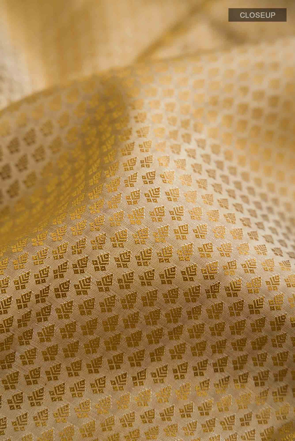 Beige Kanchipuram Silk Saree