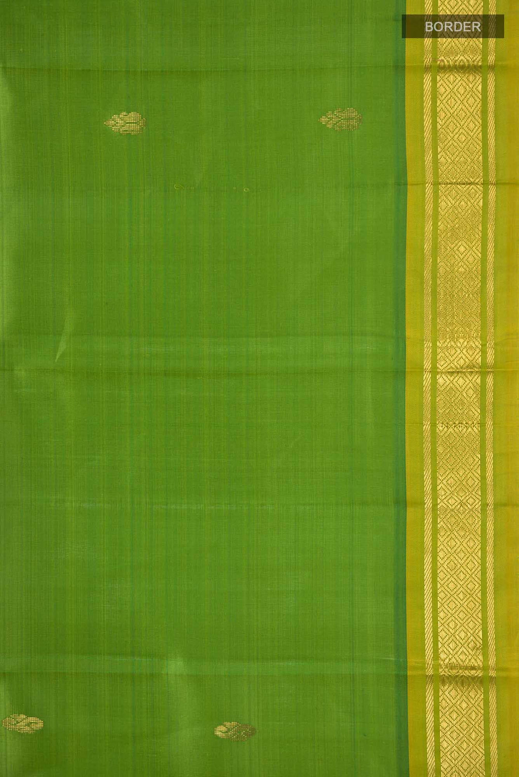 Green Kanchipuram Silk Saree