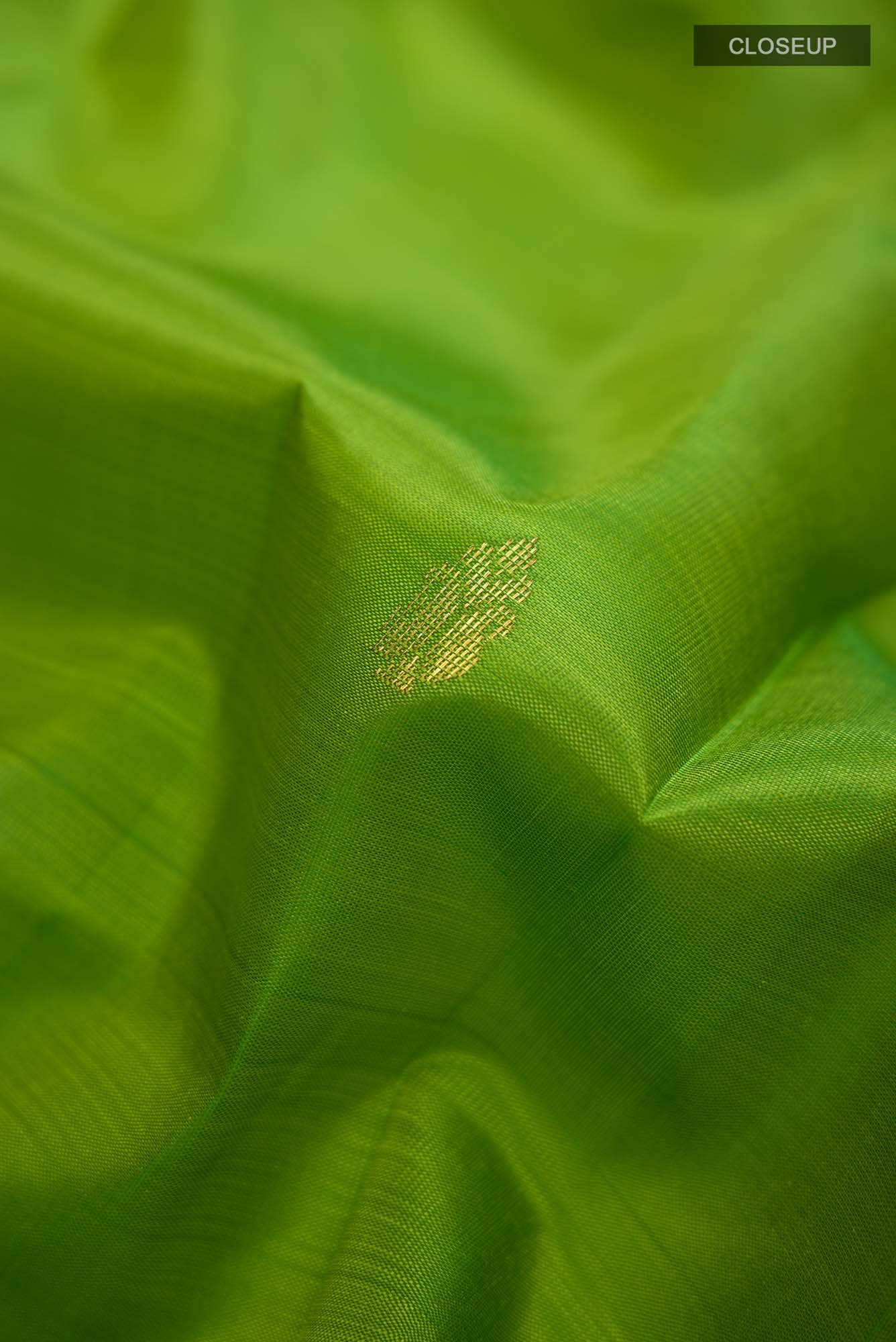 Green Kanchipuram Silk Saree