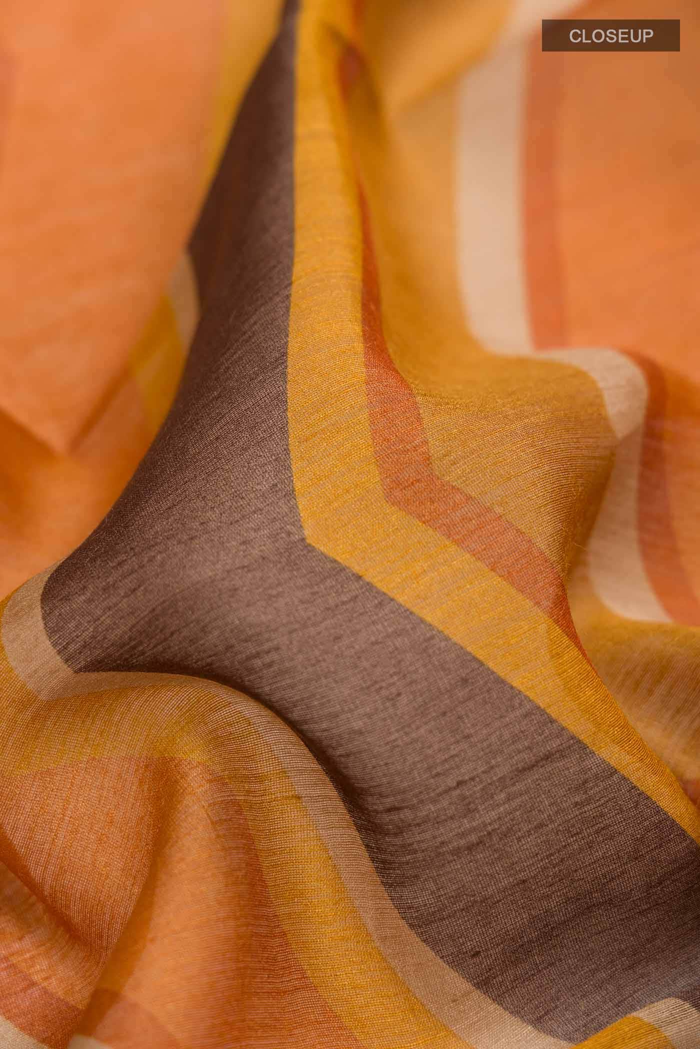 Multi Bhagalpuri Tussar Silk Saree